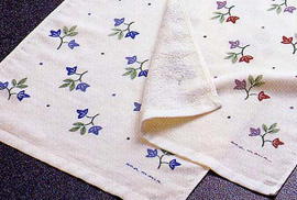 �\�K�[�[�����Q���t�F�C�X�^�I��