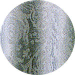 �e�[�u���N���X�@�N���A�z���C�g