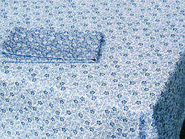 �e�[�u���N���X�@�A�C���X