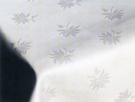 �e�[�u���N���X�@���e