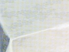 �e�[�u���N���X�@�u�h�E