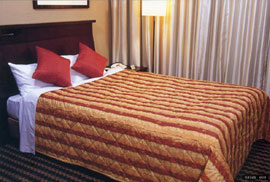 �x�b�h�X�v���b�g