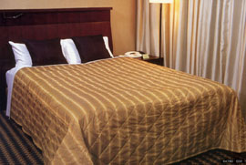 �x�b�h�X�v���b�g