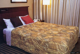 �x�b�h�X�v���b�g